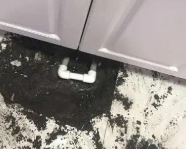 阎良查漏水哪家好
